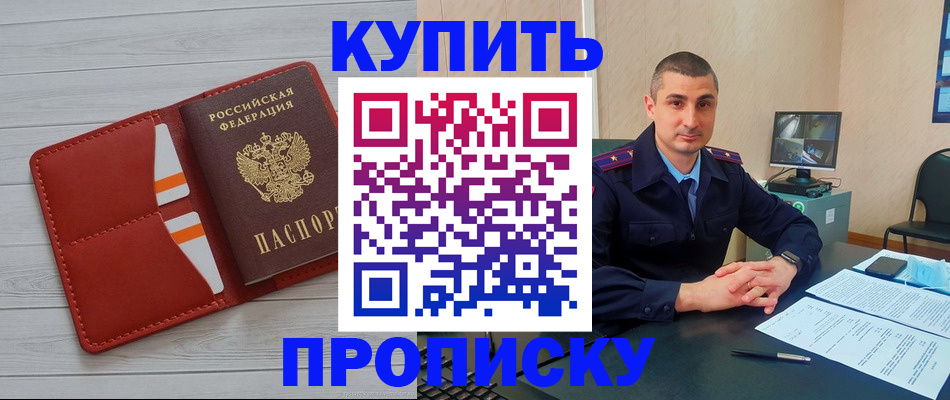 прописка для школы в Щёлково